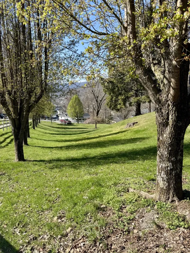 250 Hill Place Road Benham KY 40807