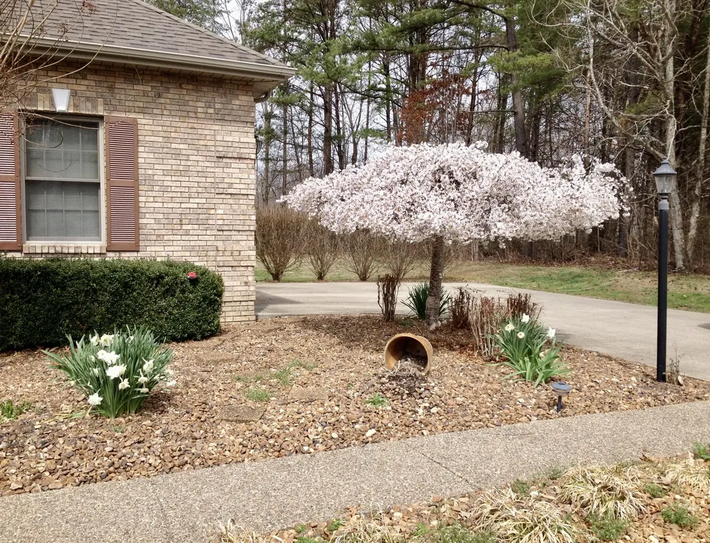 286 Ponderosa Trail Corbin KY 40701