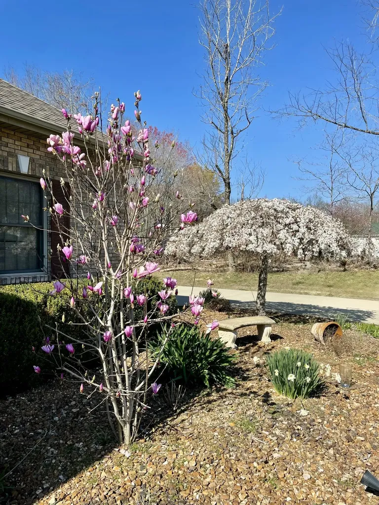 286 Ponderosa Trail Corbin KY 40701