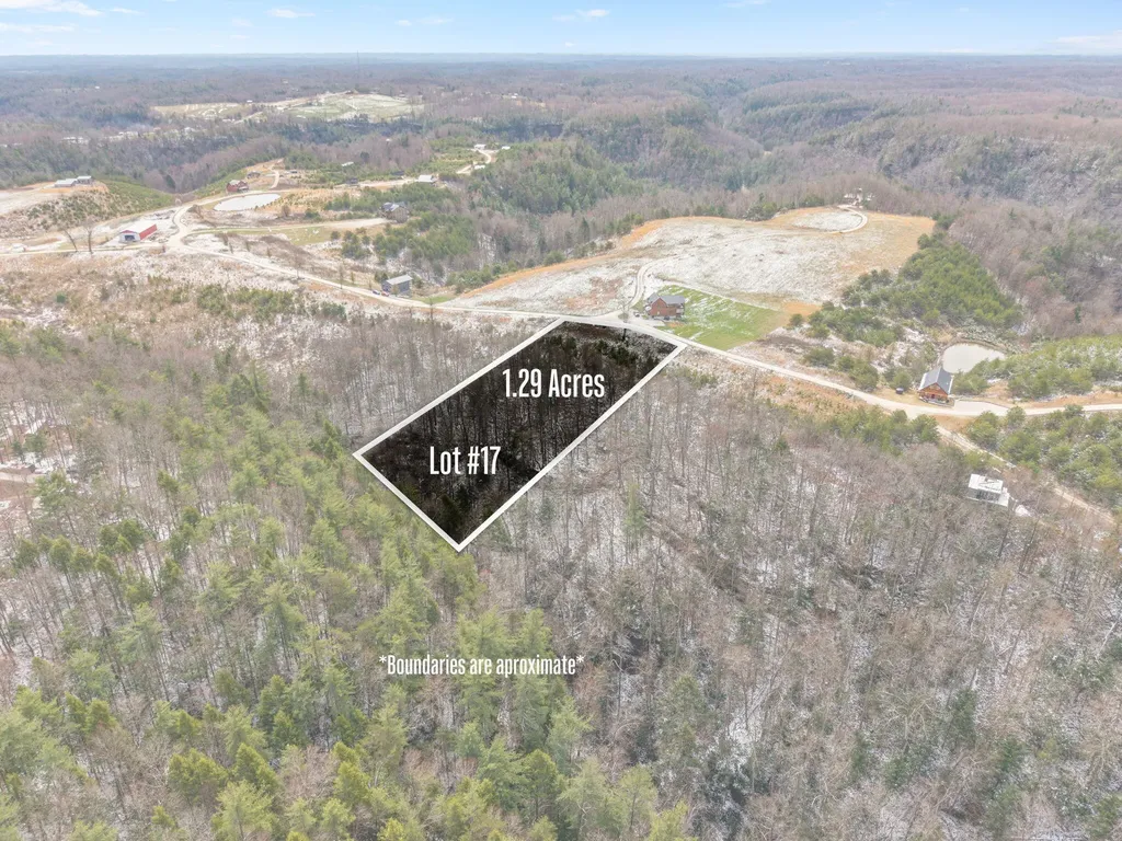 Lot #17 Shawnee Run Rogers KY 41365