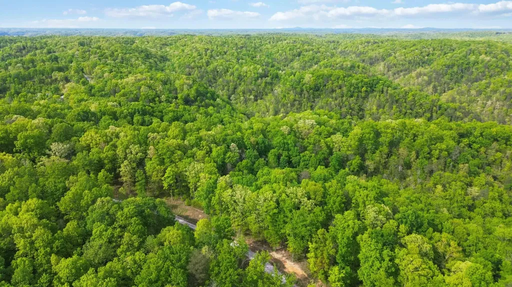 Lot 90 Sandstone Point Trail Monticello KY 42633