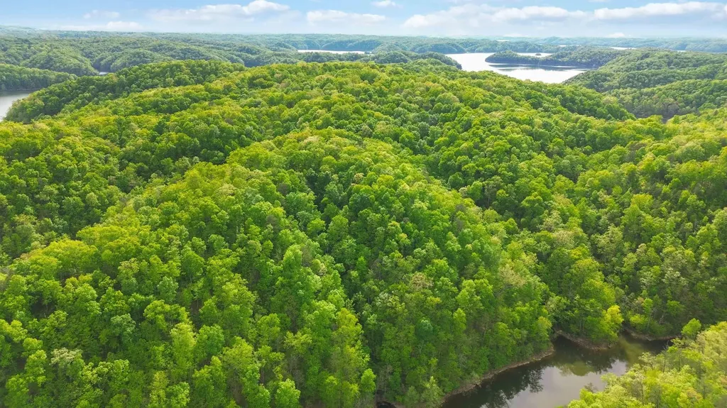 Lot 90 Sandstone Point Trail Monticello KY 42633