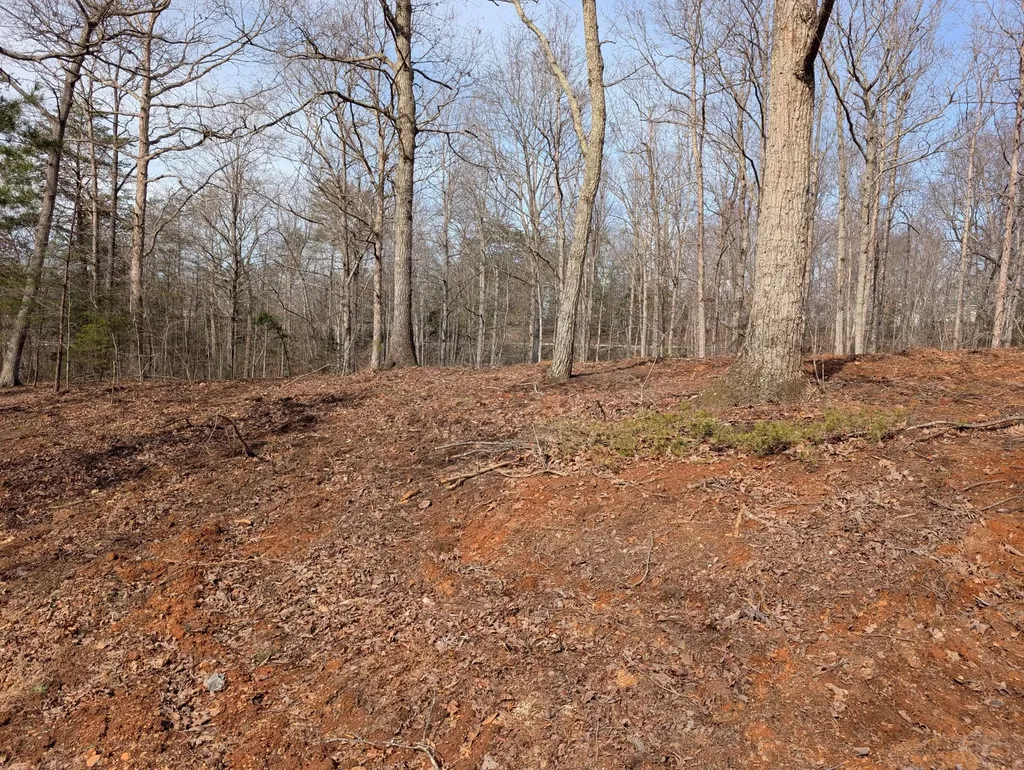 8 Woods Trail Drive Irvine KY 40336