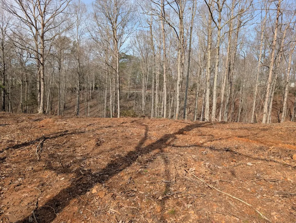 8 Woods Trail Drive Irvine KY 40336