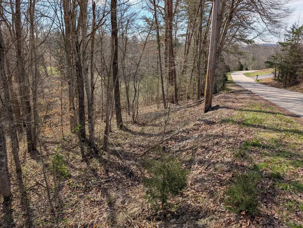 8 Woods Trail Drive Irvine KY 40336