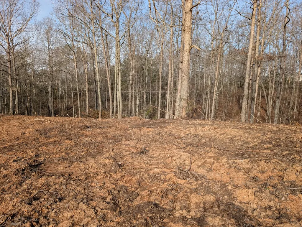 8 Woods Trail Drive Irvine KY 40336
