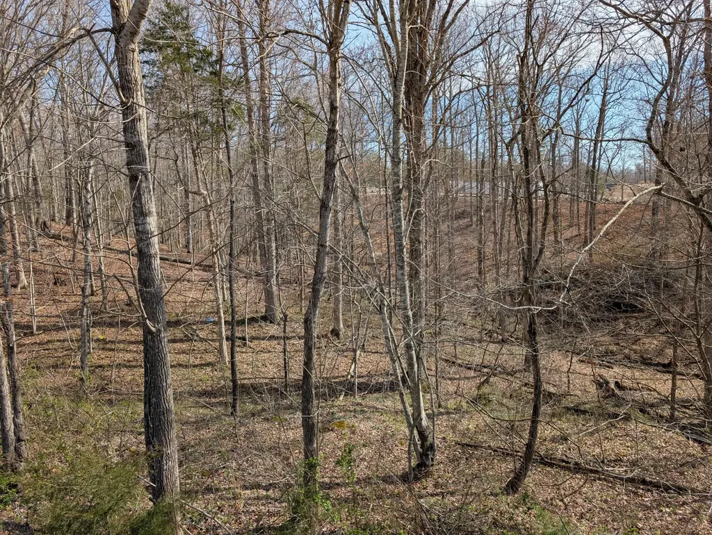 Lot 6 Woods Trail Drive Irvine KY 40336