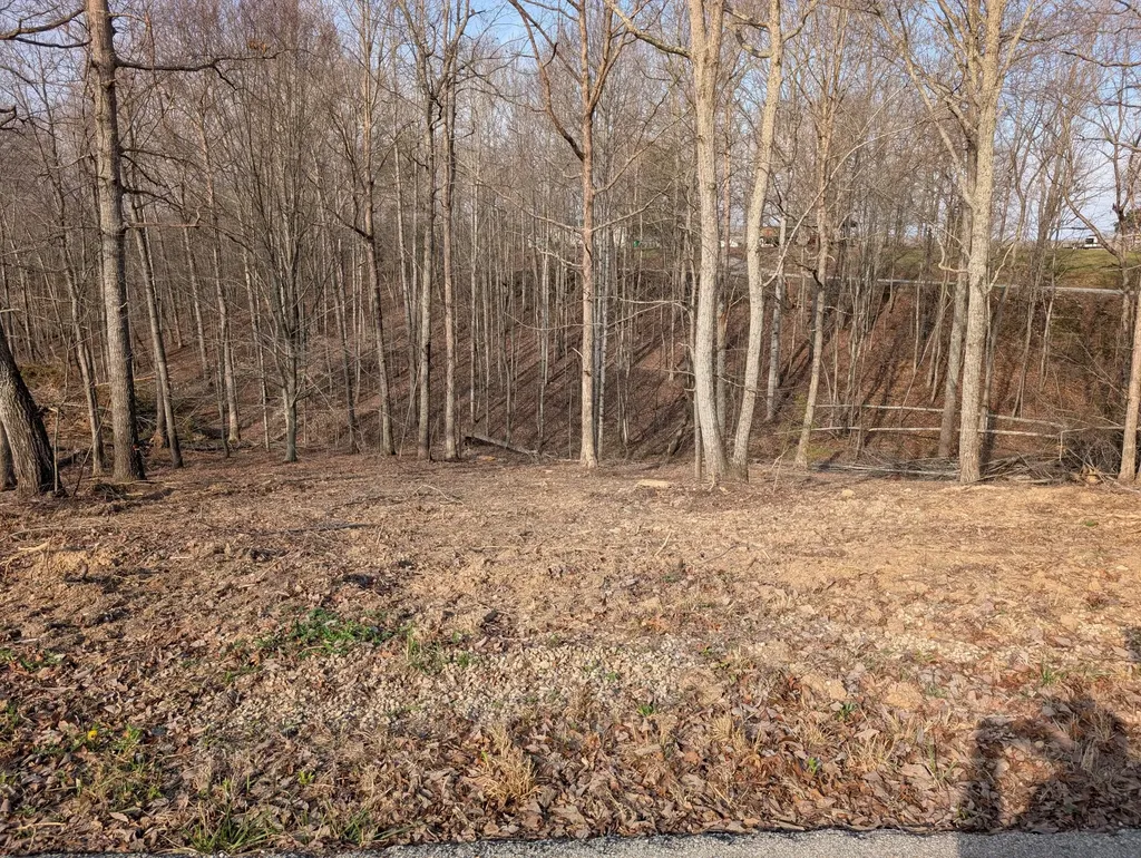 Lot 6 Woods Trail Drive Irvine KY 40336