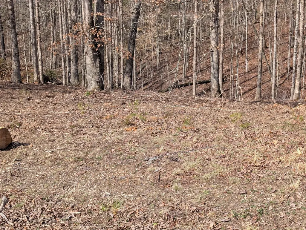 Lot 7 Woods Trail Drive Irvine KY 40336
