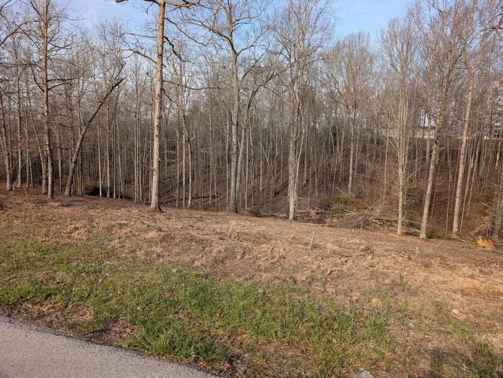 Lot 7 Woods Trail Drive Irvine KY 40336