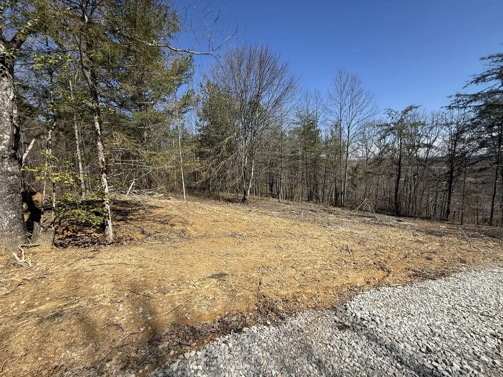 4416 Hazel Patch Road East Bernstadt KY 40729