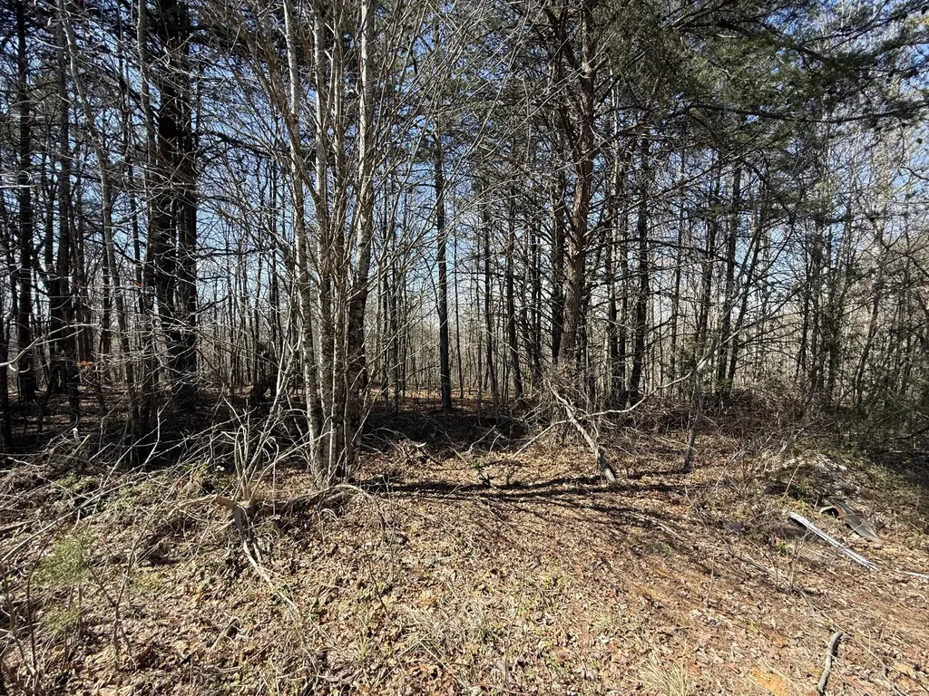 4416 Hazel Patch Road East Bernstadt KY 40729
