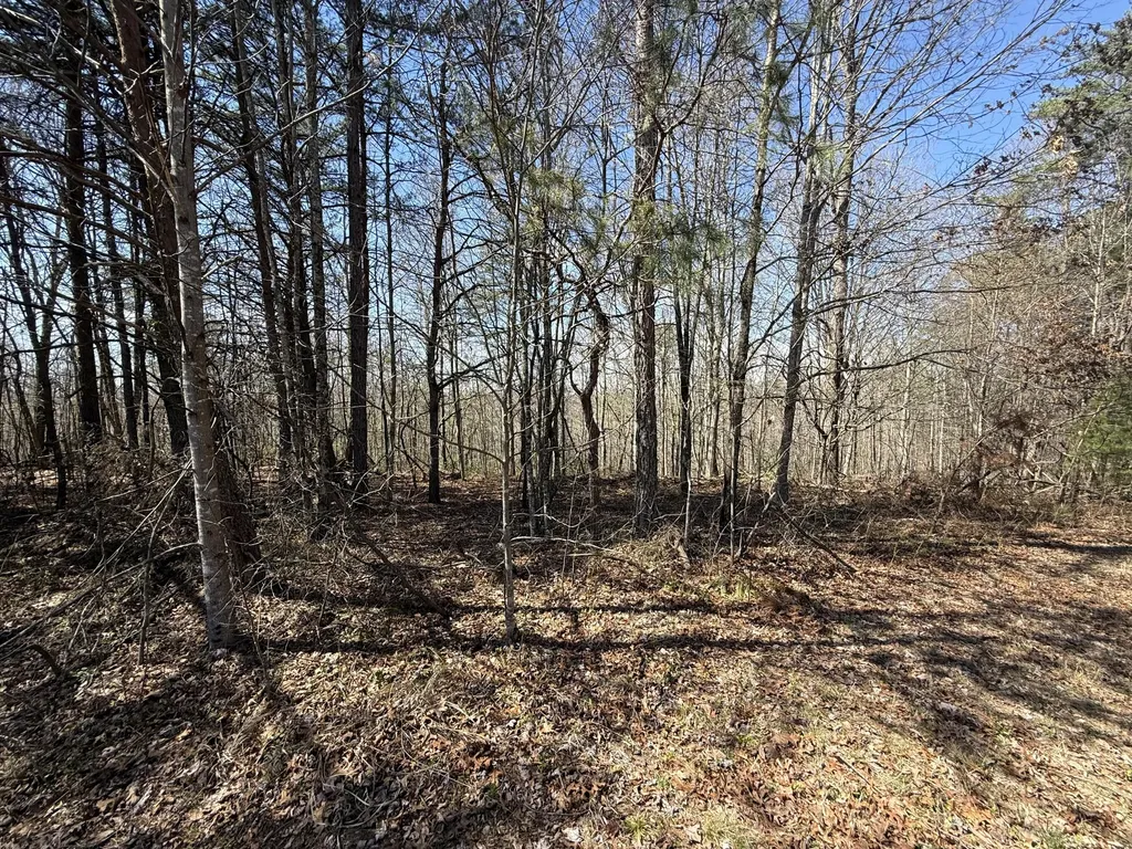 4416 Hazel Patch Road East Bernstadt KY 40729