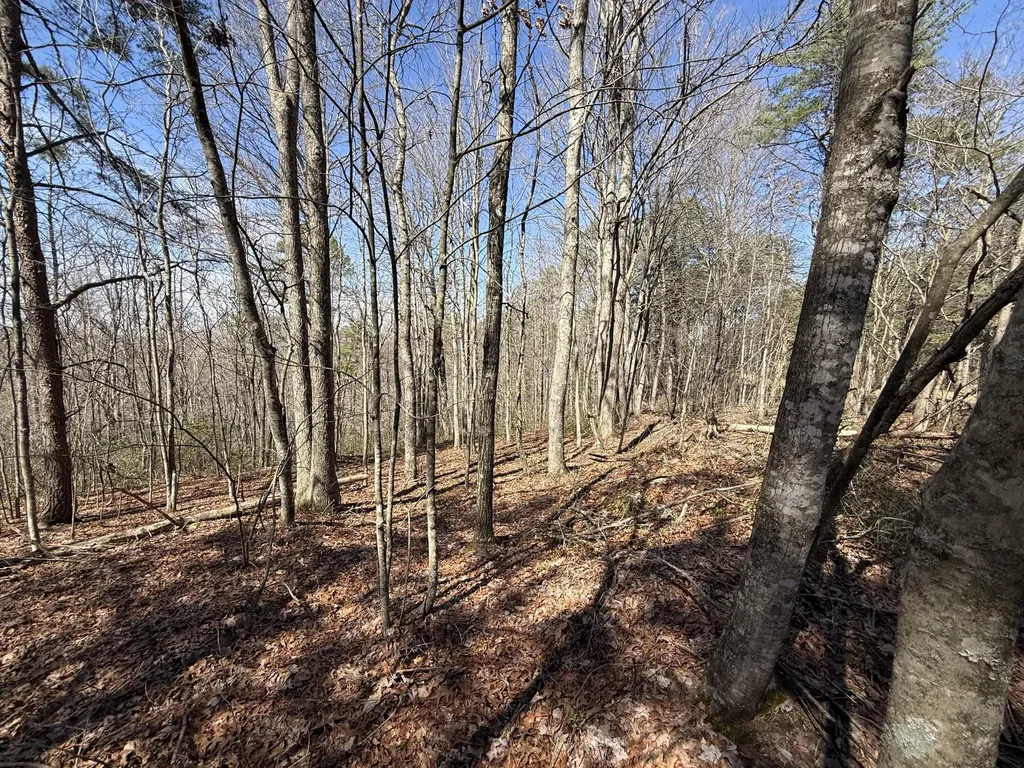 4416 Hazel Patch Road East Bernstadt KY 40729