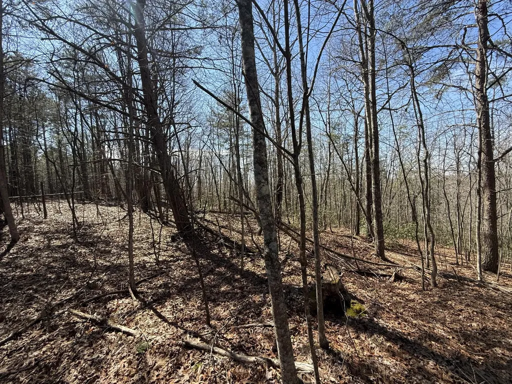 4416 Hazel Patch Road East Bernstadt KY 40729