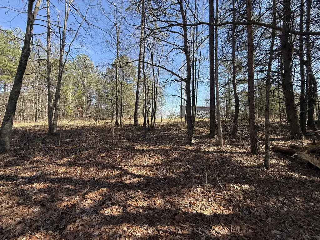 4416 Hazel Patch Road East Bernstadt KY 40729