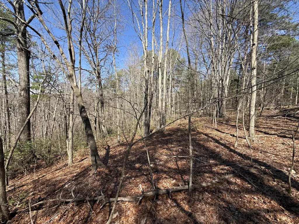 4416 Hazel Patch Road East Bernstadt KY 40729
