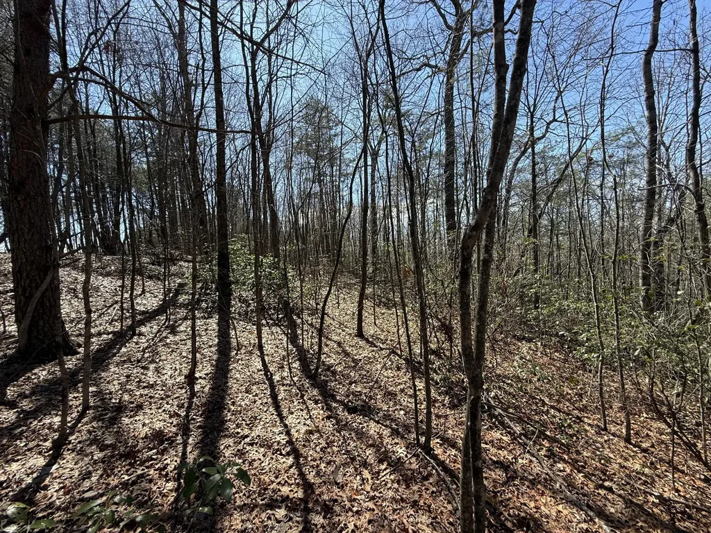 4416 Hazel Patch Road East Bernstadt KY 40729