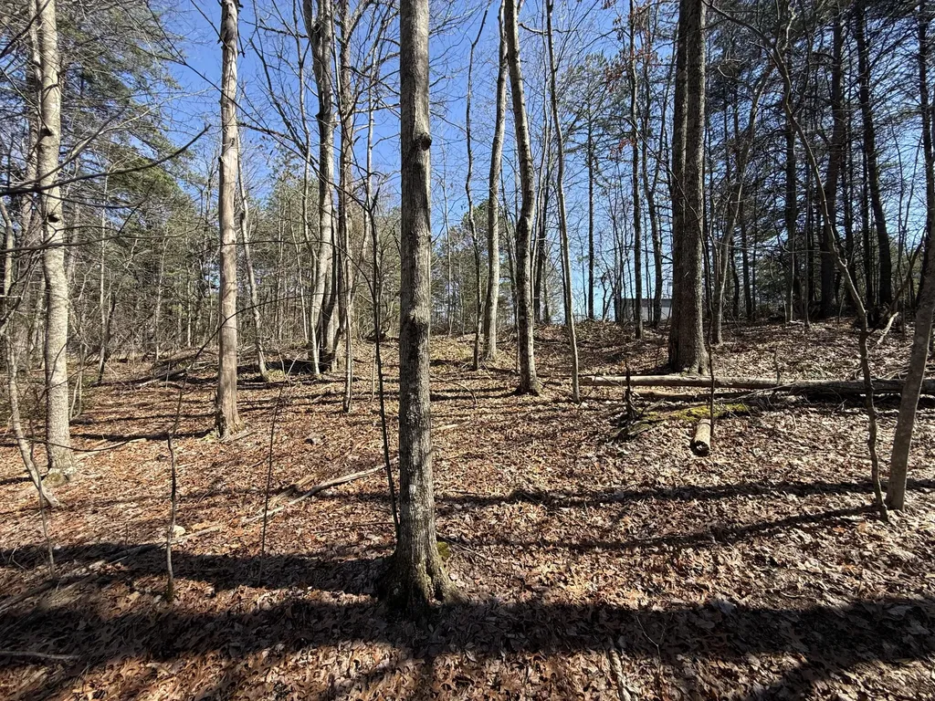 4416 Hazel Patch Road East Bernstadt KY 40729