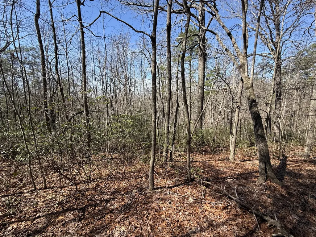 4416 Hazel Patch Road East Bernstadt KY 40729