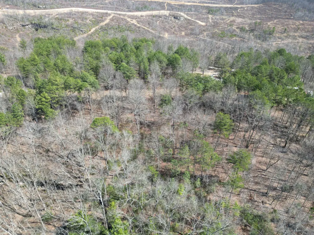4416 Hazel Patch Road East Bernstadt KY 40729
