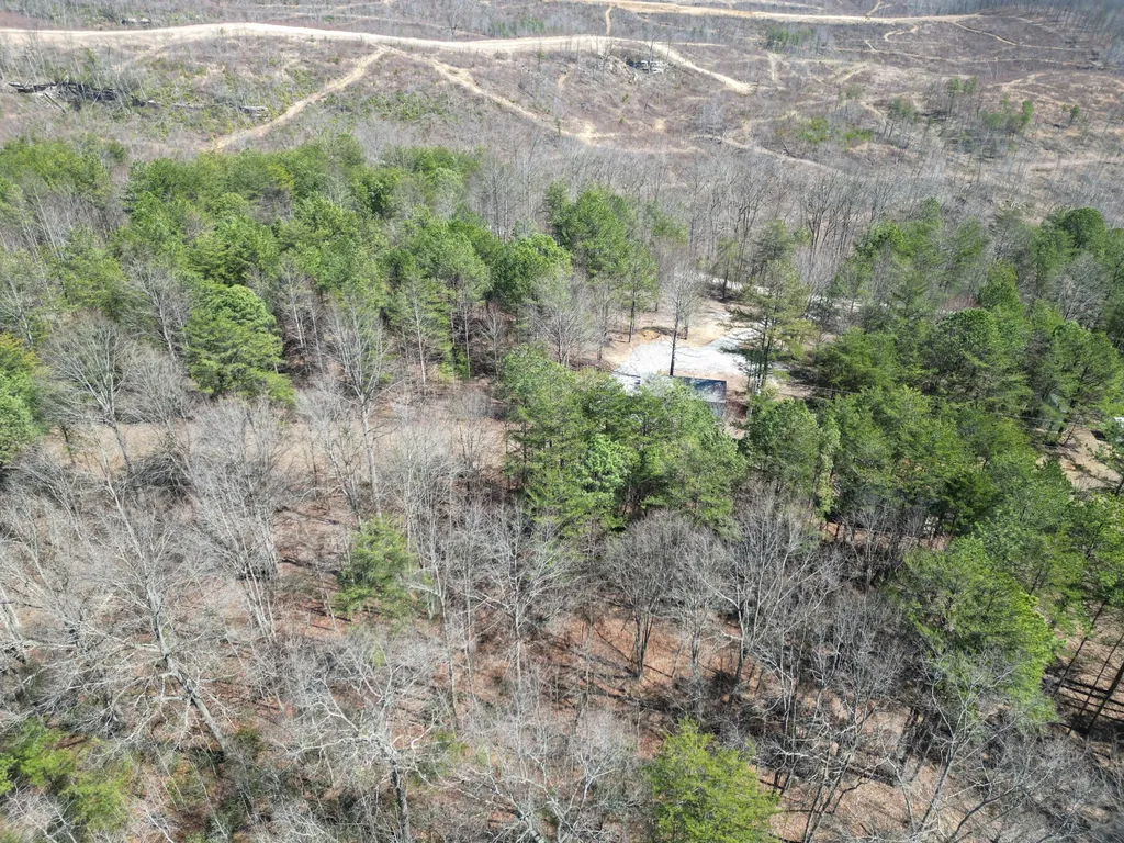 4416 Hazel Patch Road East Bernstadt KY 40729
