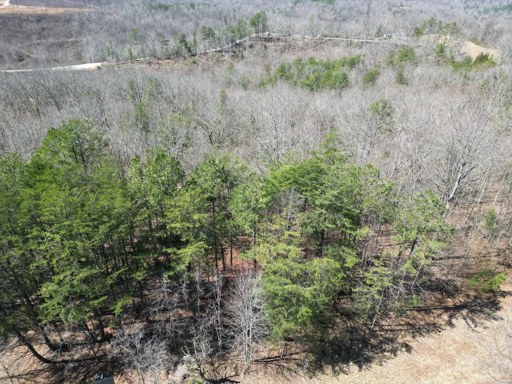 4416 Hazel Patch Road East Bernstadt KY 40729