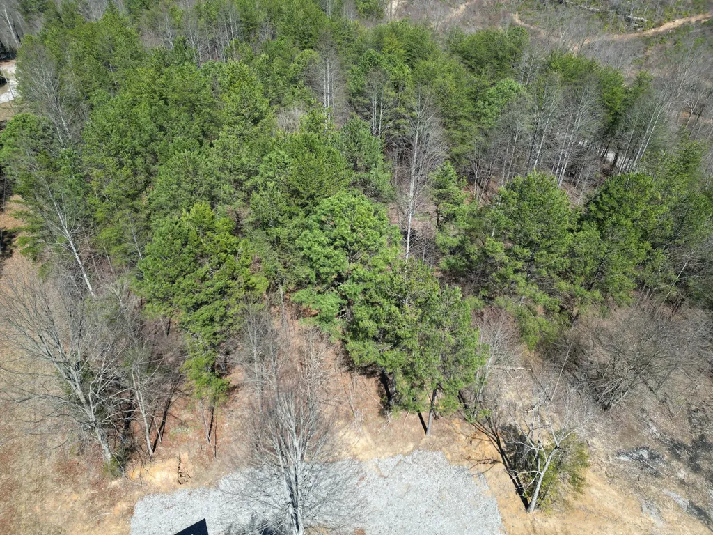 4416 Hazel Patch Road East Bernstadt KY 40729