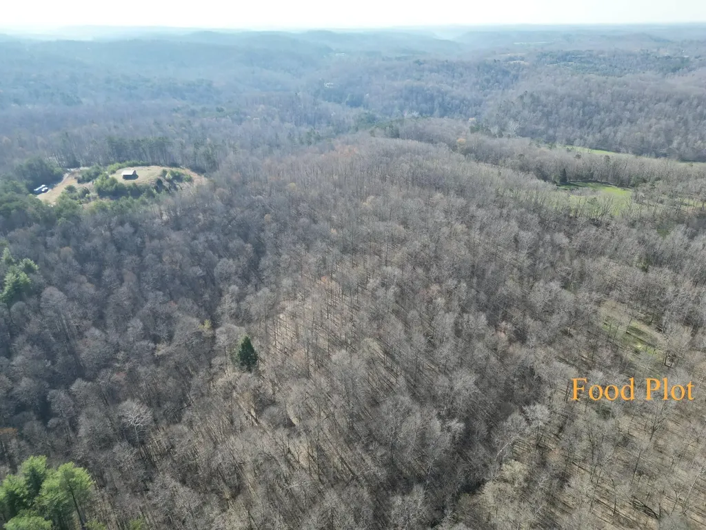 217 Acres Highway 1675 Somerset KY 42501
