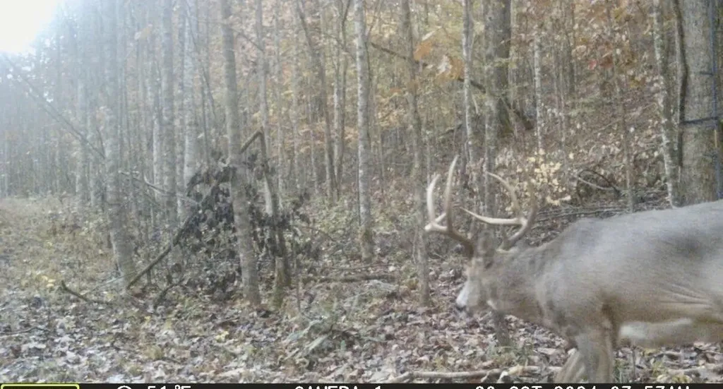 217 Acres Highway 1675 Somerset KY 42501