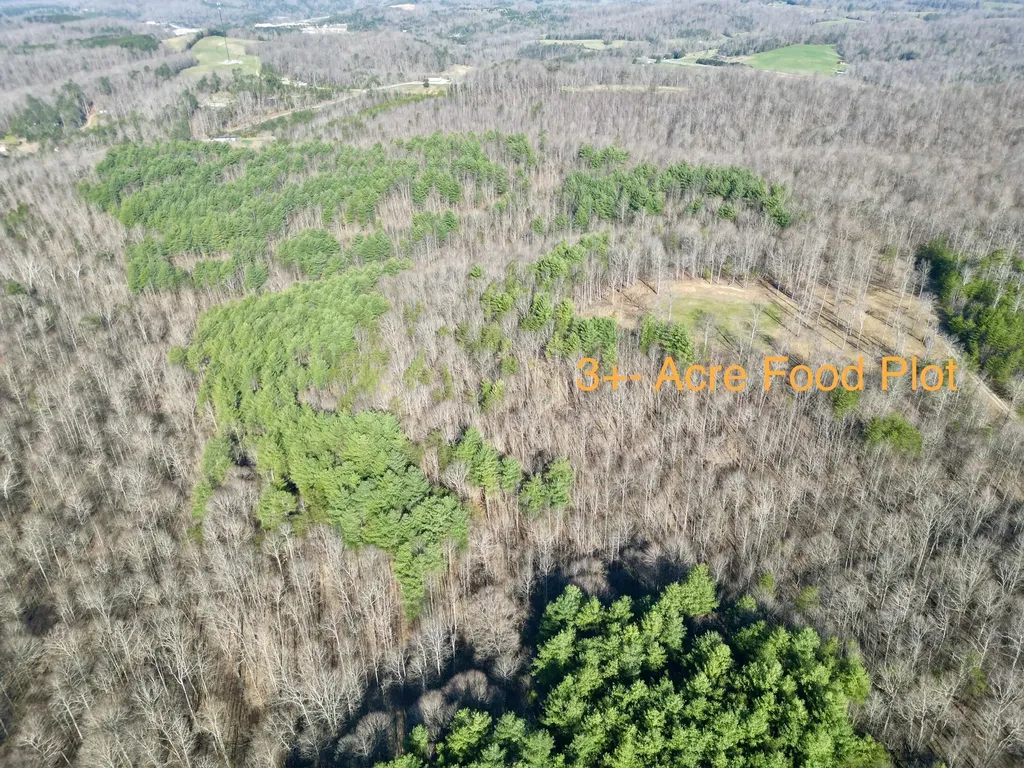 217 Acres Highway 1675 Somerset KY 42501
