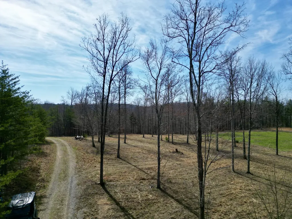 217 Acres Highway 1675 Somerset KY 42501