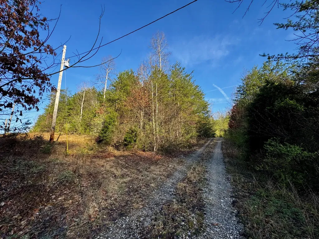 217 Acres Highway 1675 Somerset KY 42501