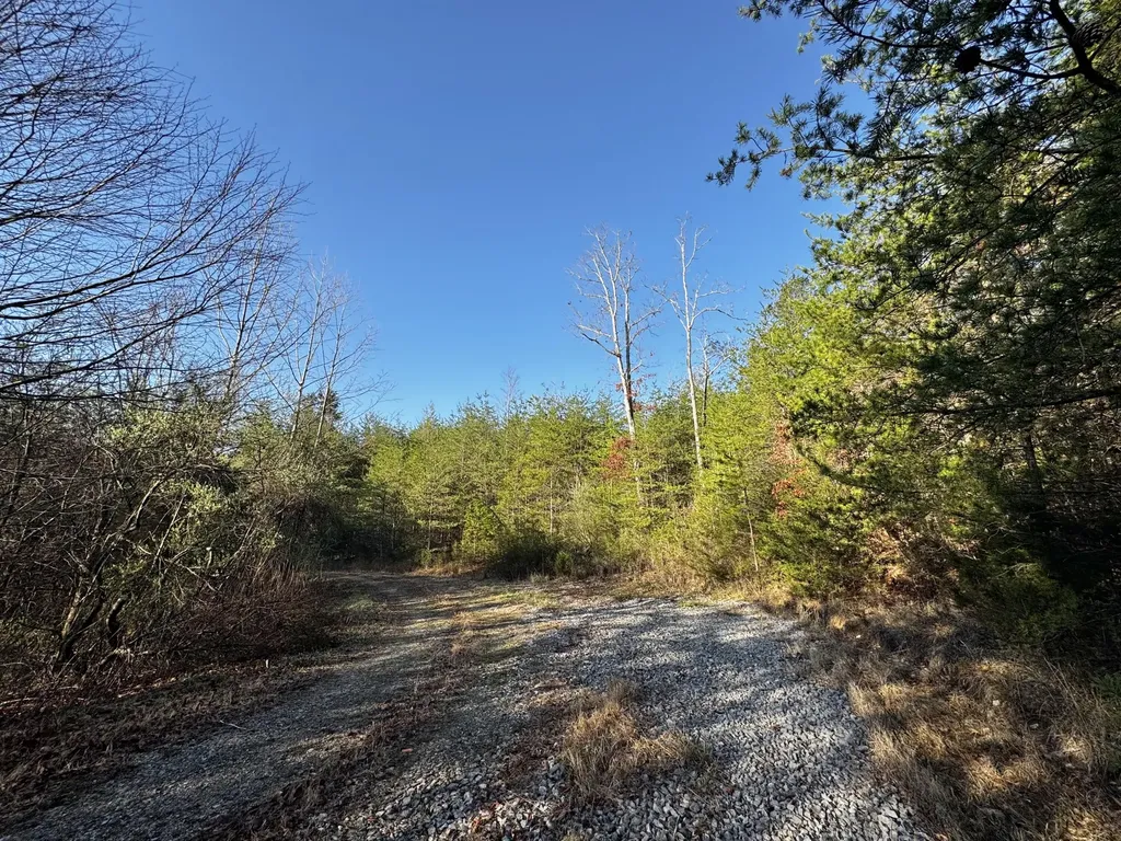 217 Acres Highway 1675 Somerset KY 42501