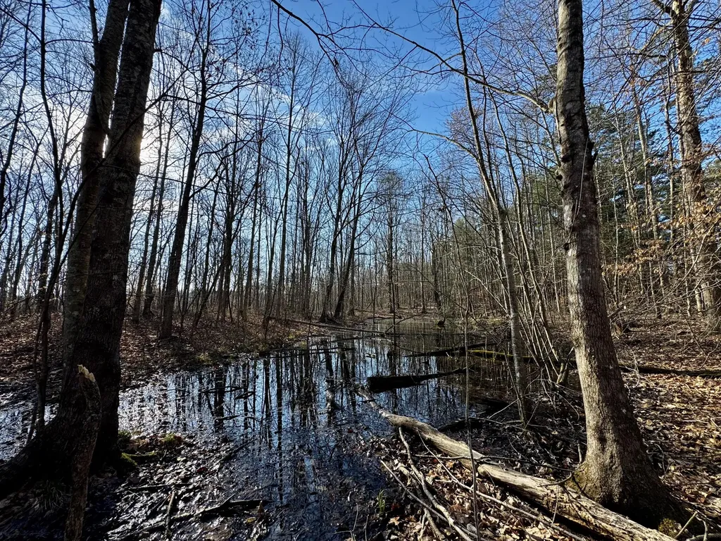 217 Acres Highway 1675 Somerset KY 42501