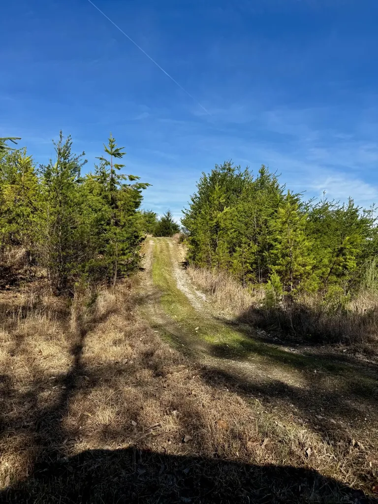 217 Acres Highway 1675 Somerset KY 42501