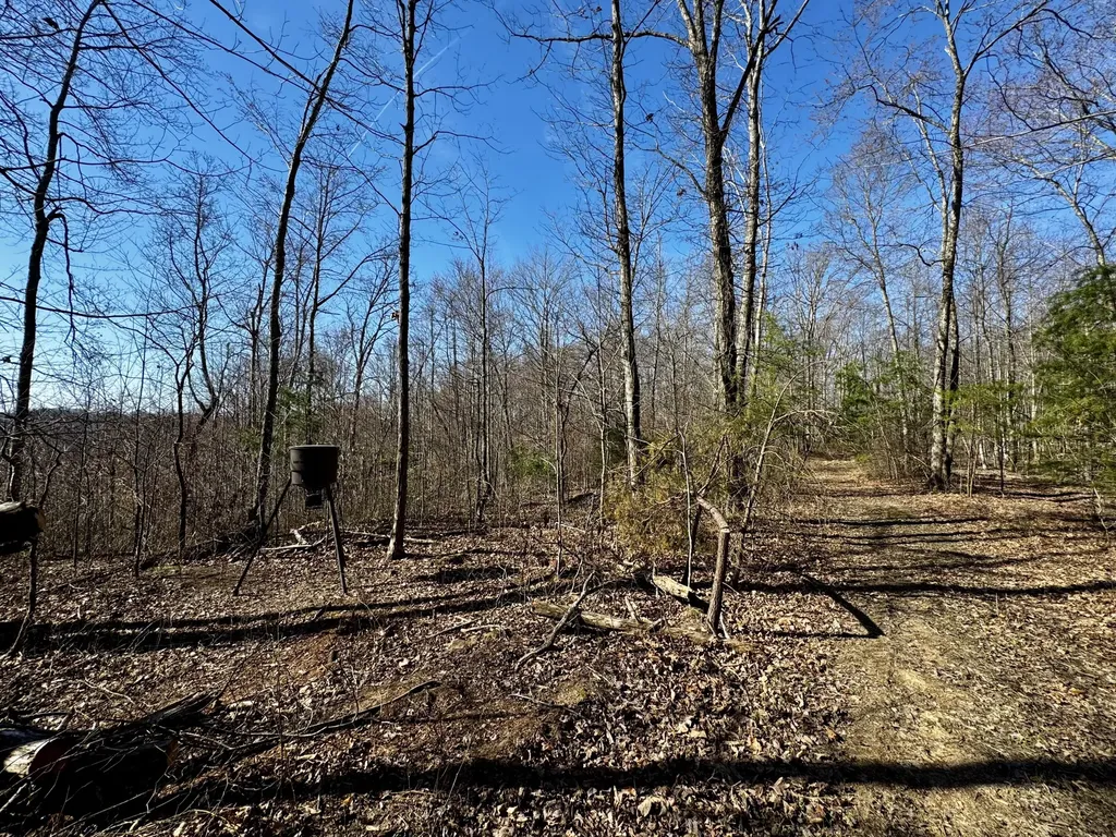 217 Acres Highway 1675 Somerset KY 42501