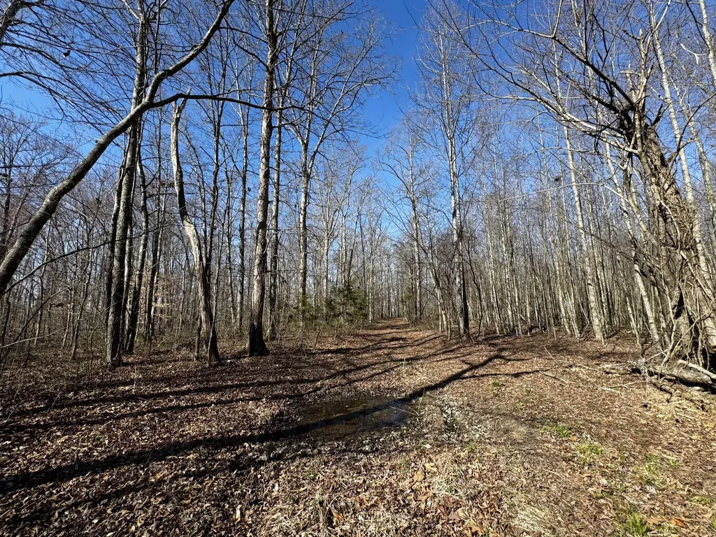 217 Acres Highway 1675 Somerset KY 42501
