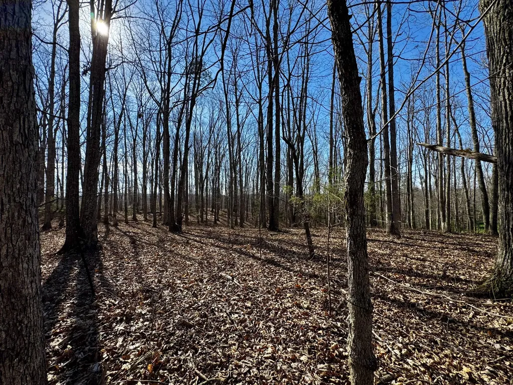217 Acres Highway 1675 Somerset KY 42501