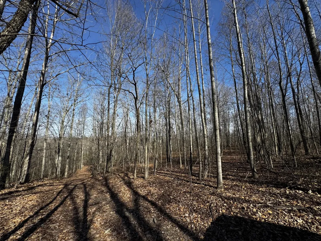 217 Acres Highway 1675 Somerset KY 42501