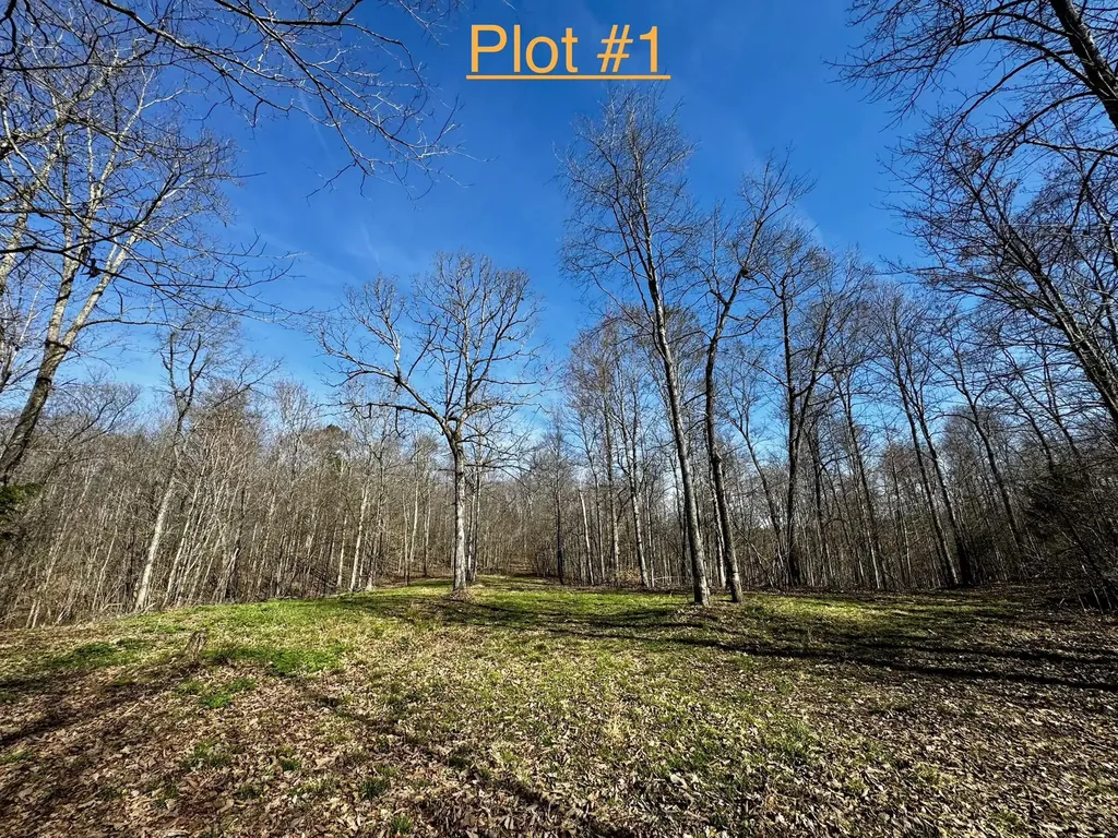 217 Acres Highway 1675 Somerset KY 42501