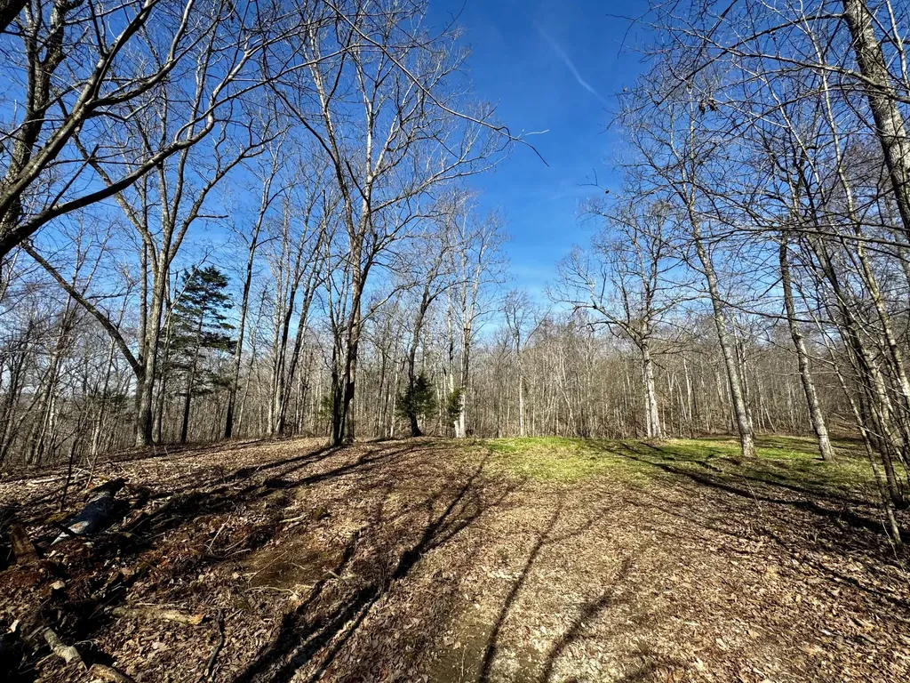 217 Acres Highway 1675 Somerset KY 42501