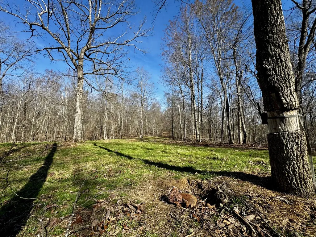 217 Acres Highway 1675 Somerset KY 42501