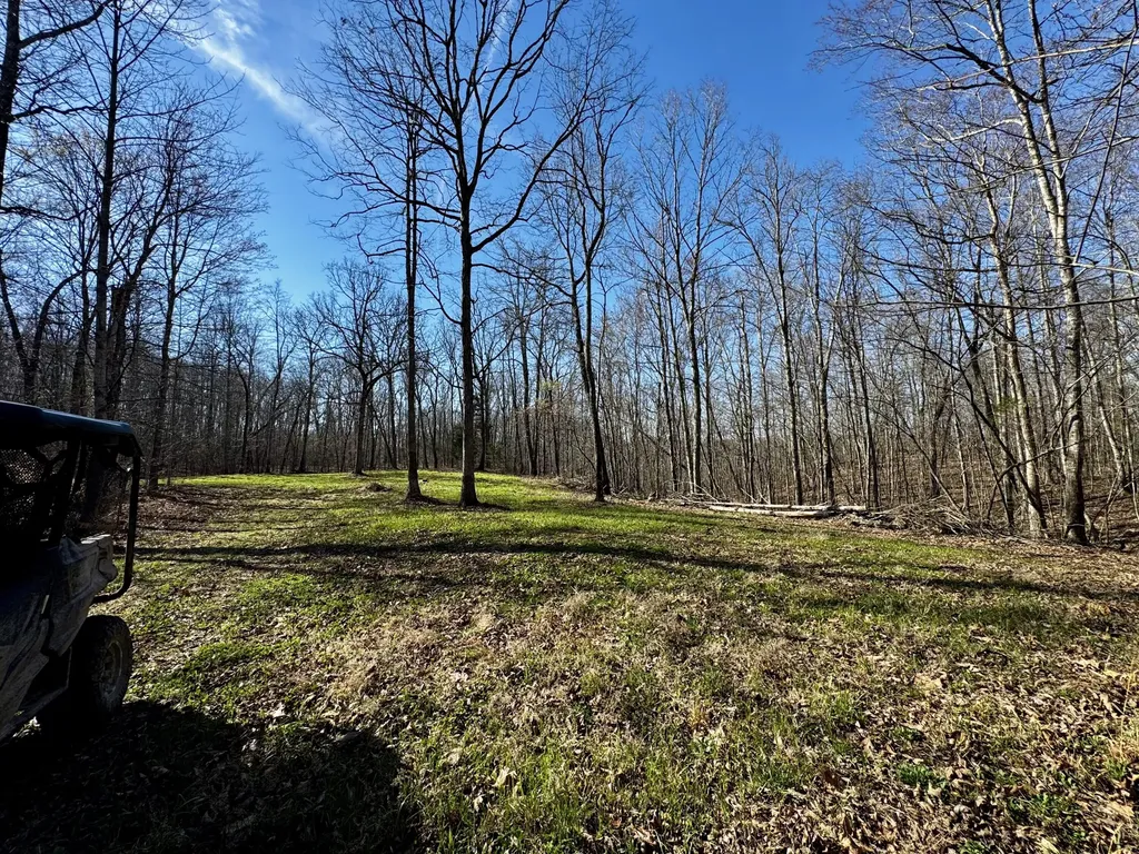217 Acres Highway 1675 Somerset KY 42501