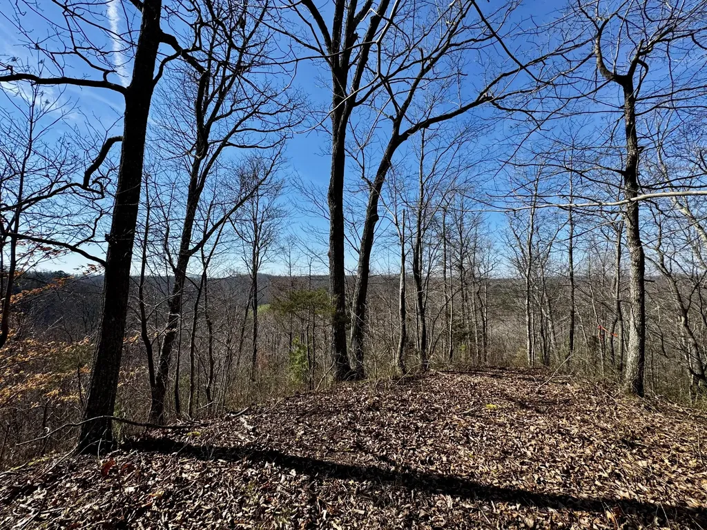 217 Acres Highway 1675 Somerset KY 42501
