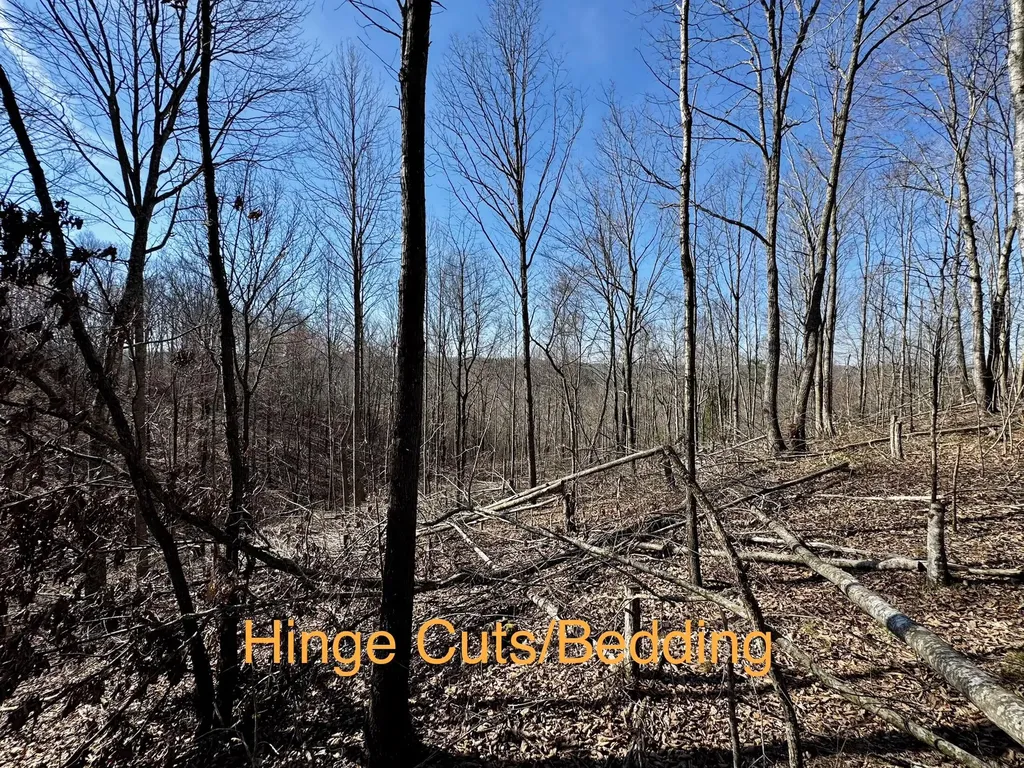 217 Acres Highway 1675 Somerset KY 42501