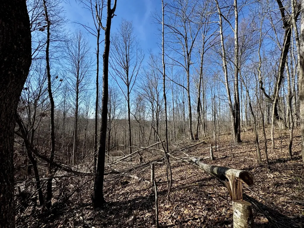 217 Acres Highway 1675 Somerset KY 42501