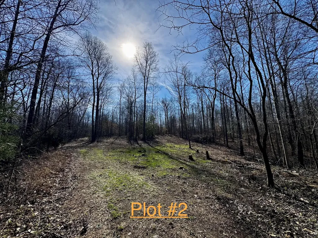217 Acres Highway 1675 Somerset KY 42501