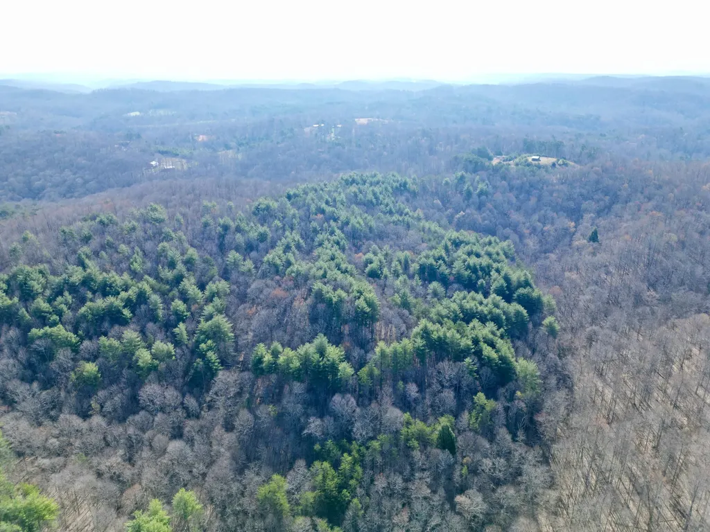 217 Acres Highway 1675 Somerset KY 42501