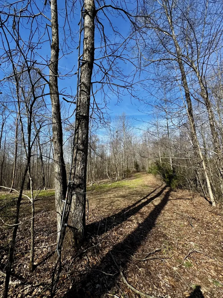 217 Acres Highway 1675 Somerset KY 42501